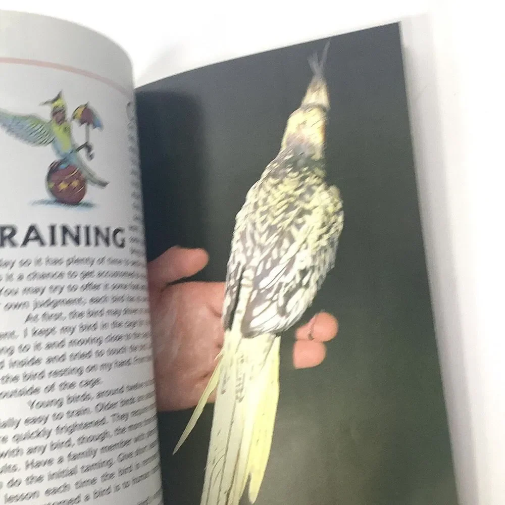 Lot of 2 All about cockatiels and A Step by Step book about‎ Cockatiels A Barrie